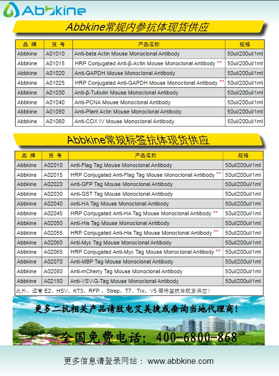 Abbkine常規二抗及標簽和內參抗體2013產品應用手冊
