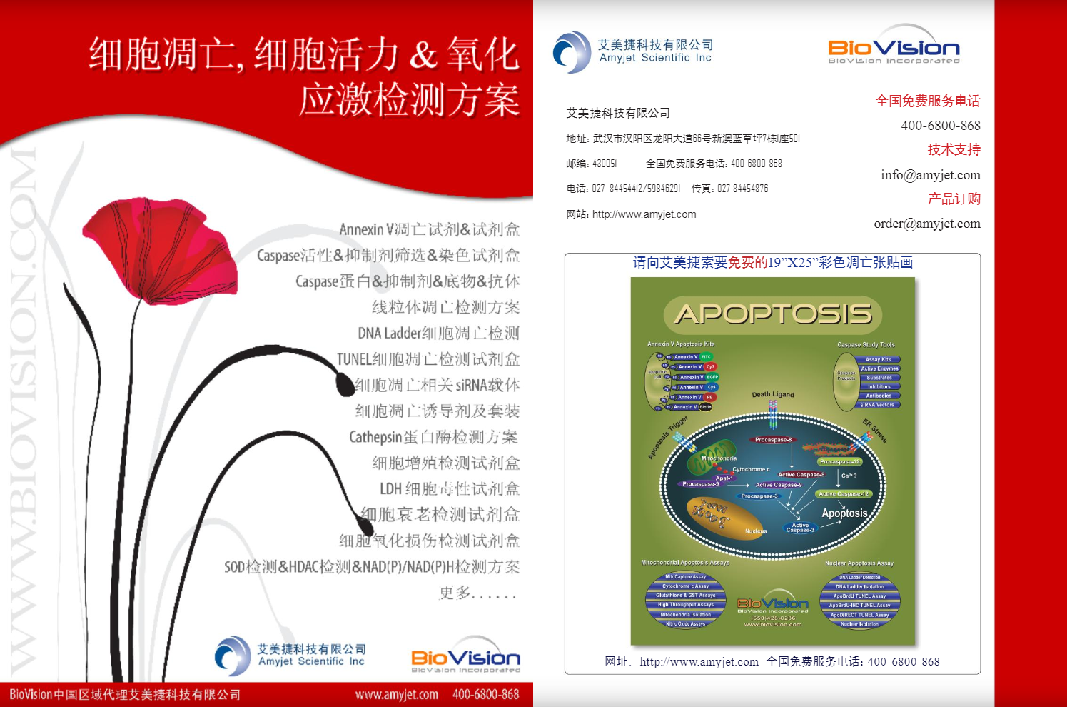 細胞凋亡&活力&氧化應激檢測方案
