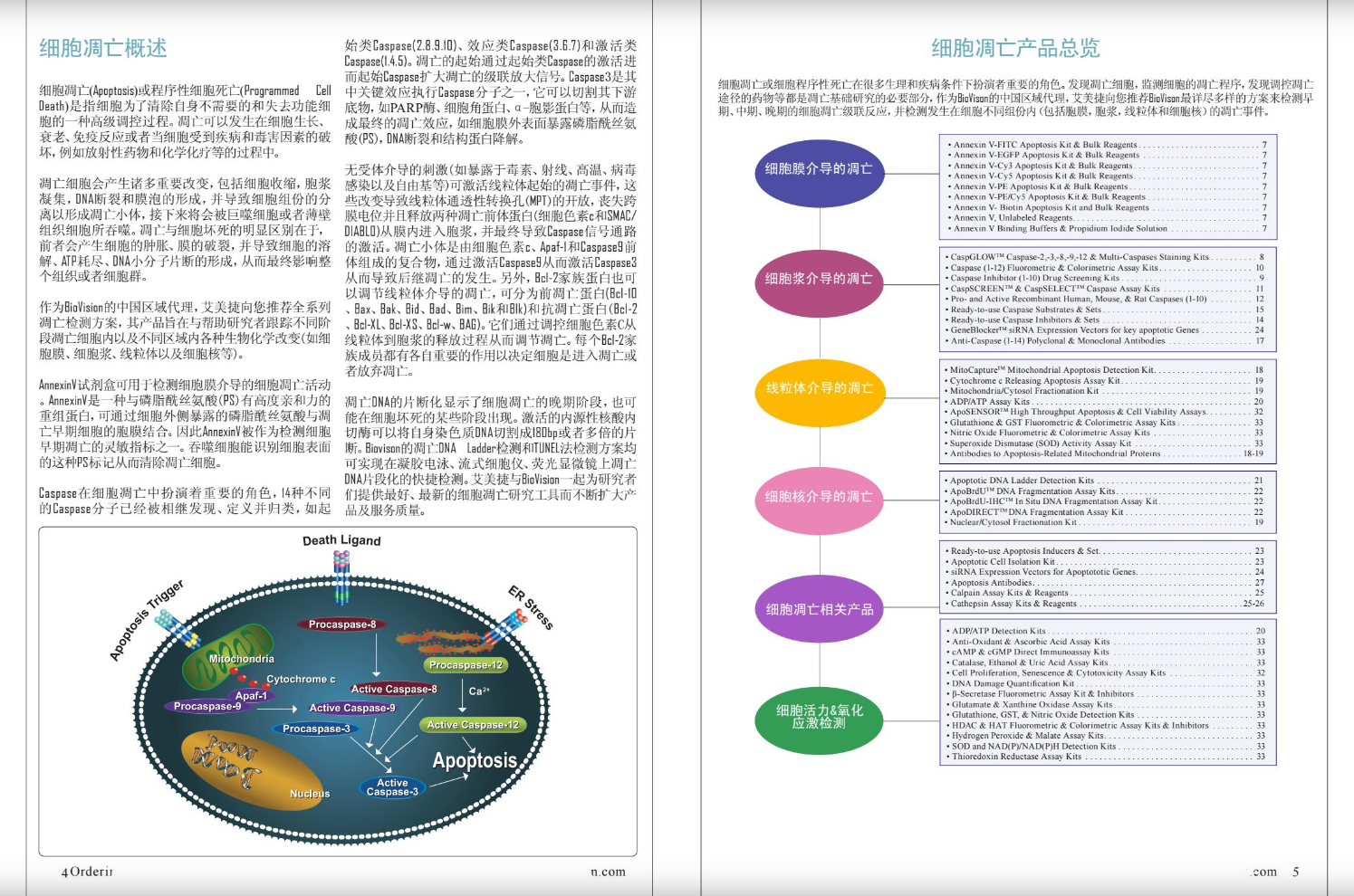 細胞凋亡&活力&氧化應激檢測方案