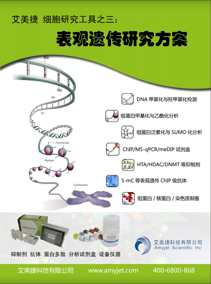 表觀遺傳研究方案產品折頁