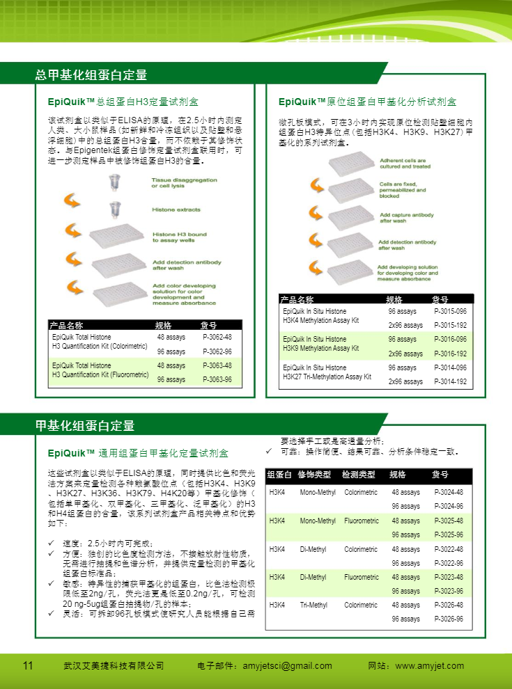 表觀遺傳研究方案產品折頁