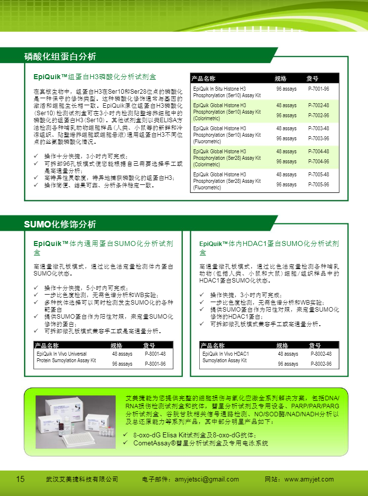 表觀遺傳研究方案產品折頁