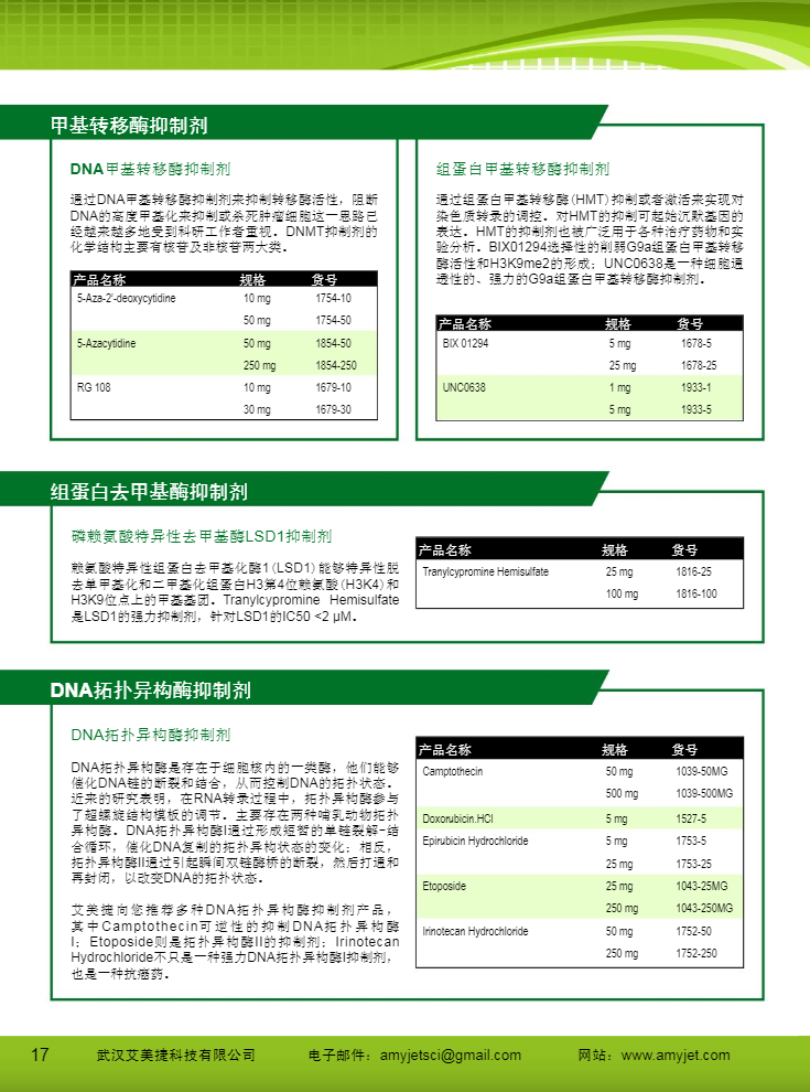 表觀遺傳研究方案產品折頁