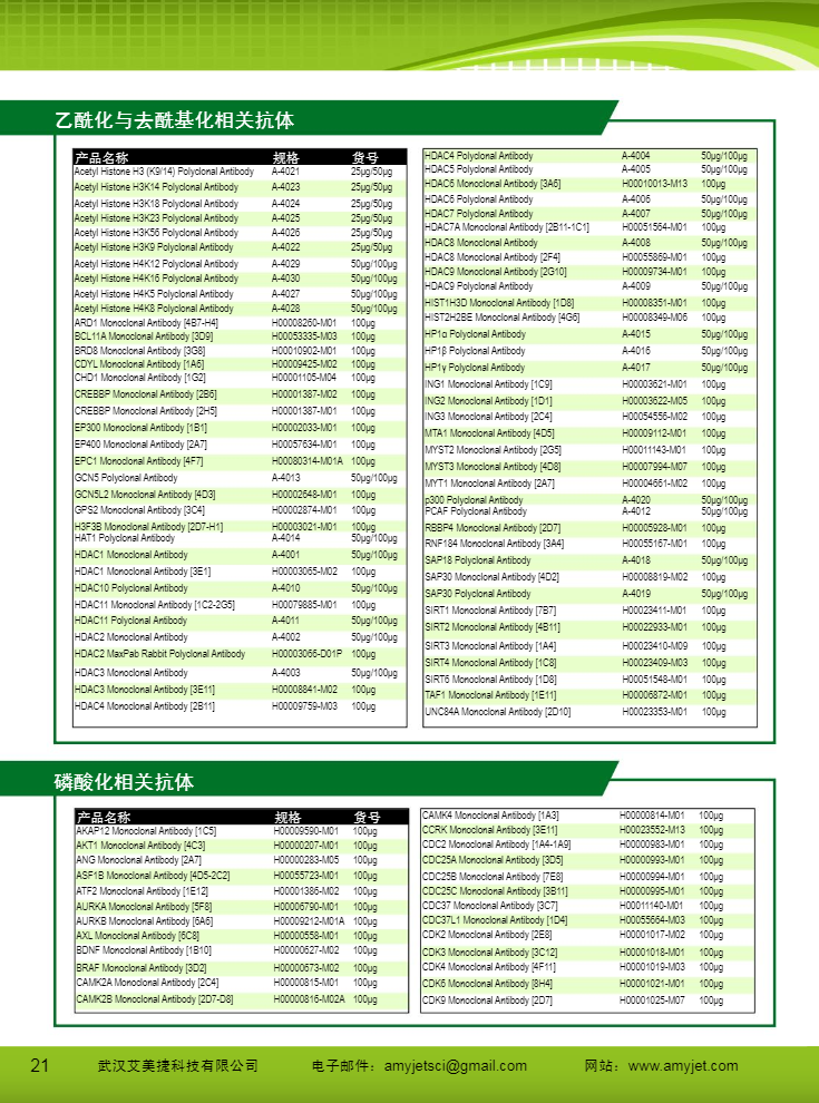 表觀遺傳研究方案產品折頁