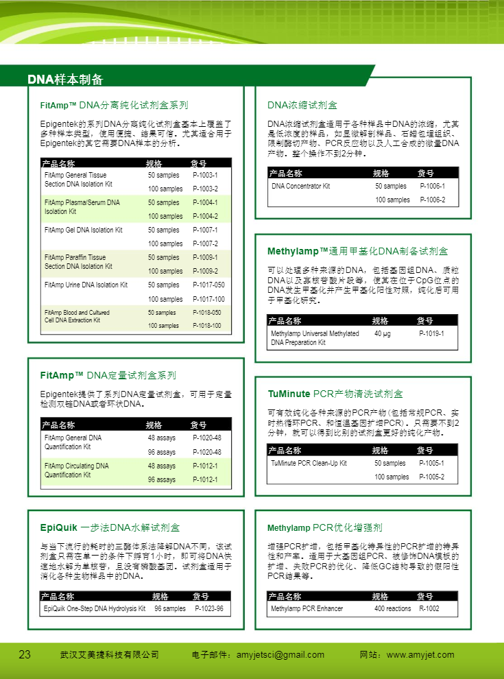 表觀遺傳研究方案產品折頁