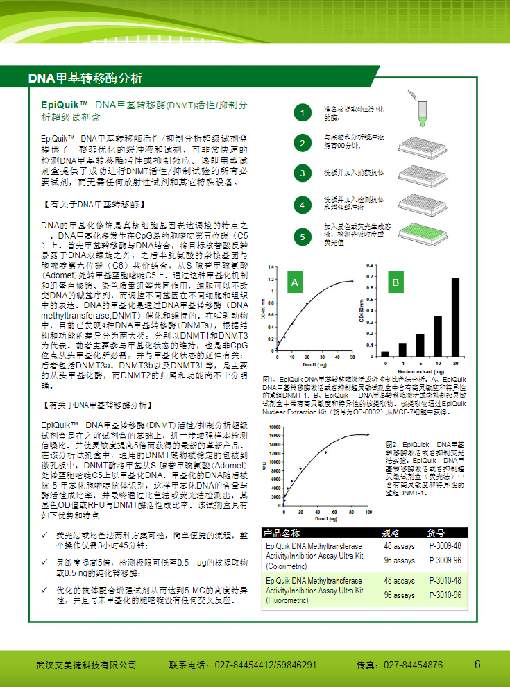 表觀遺傳研究方案產品折頁