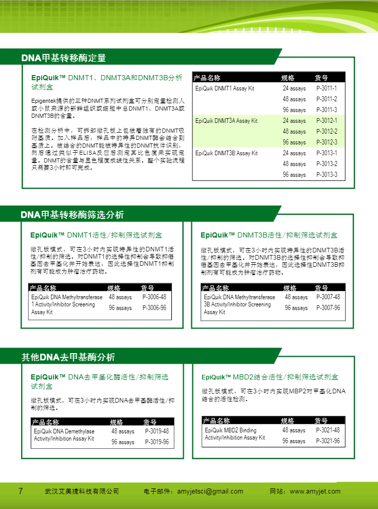 表觀遺傳研究方案產品折頁