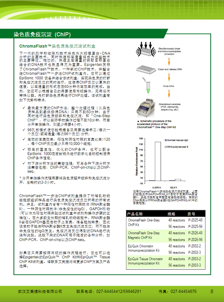 表觀遺傳研究方案產品折頁