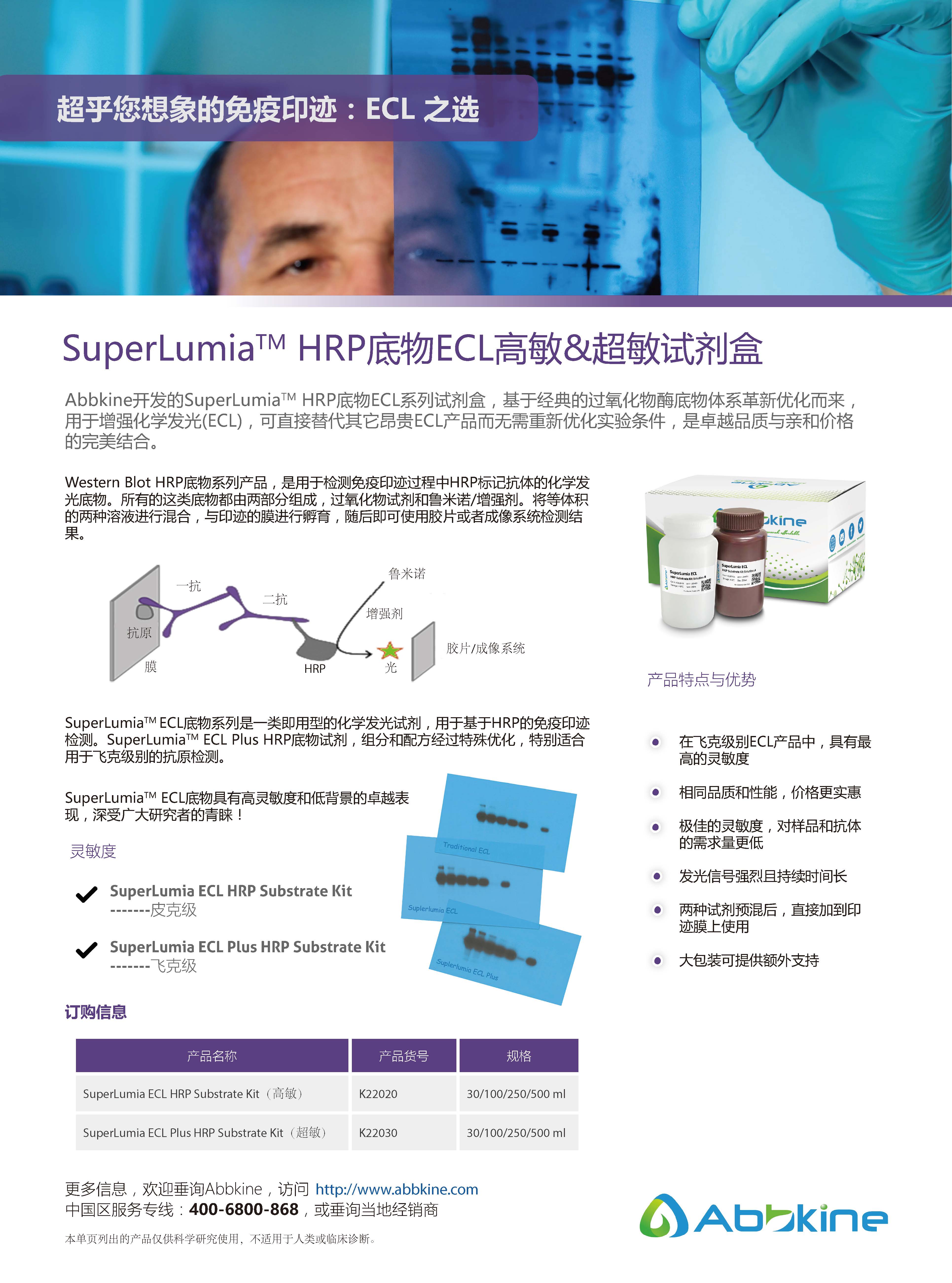 SuperLumia HRP底物ECL高敏&超敏試劑盒-產品手冊