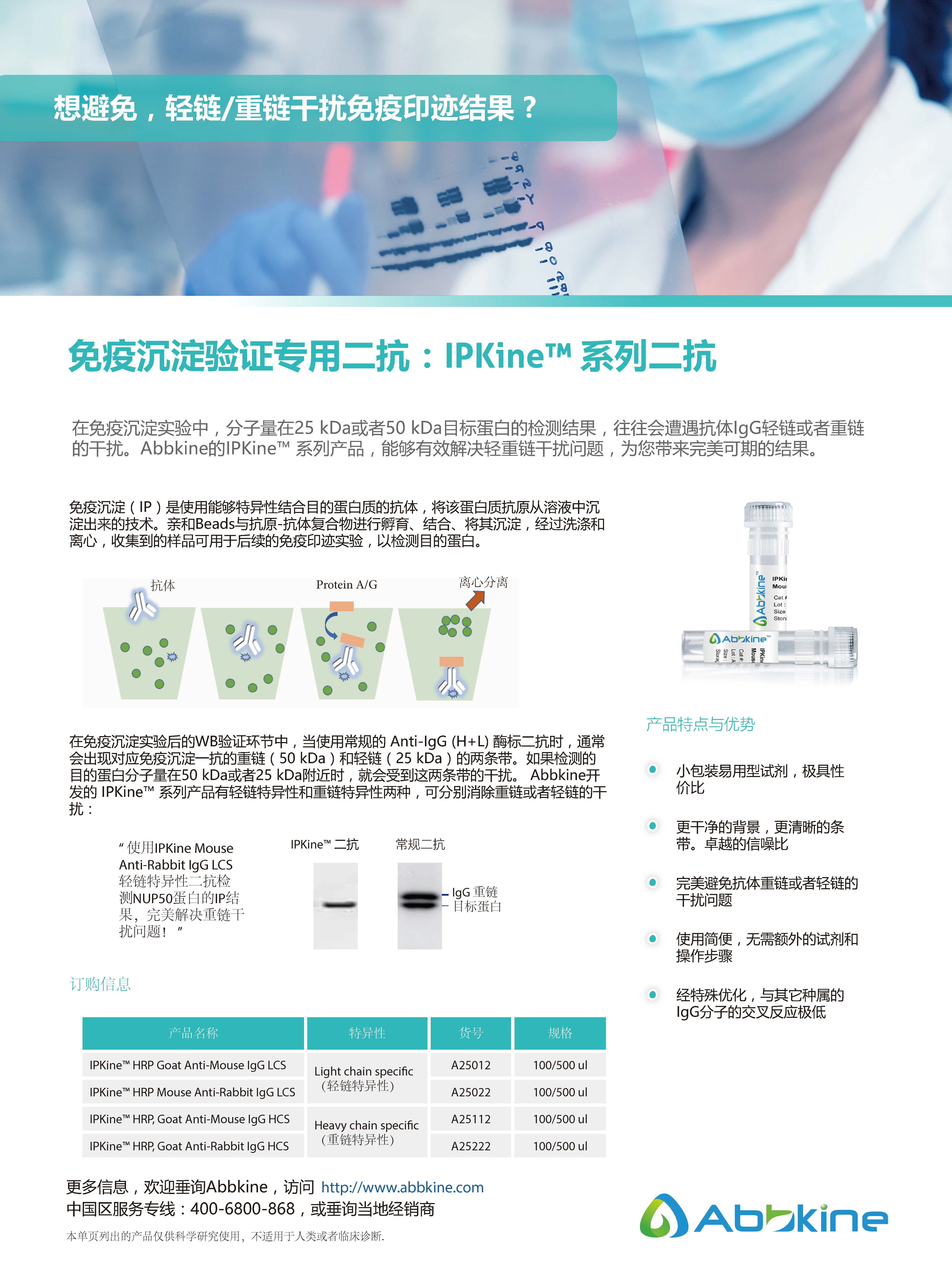 免疫沉淀驗證專用二抗：IPKine&trade; 系列二抗-產品手冊