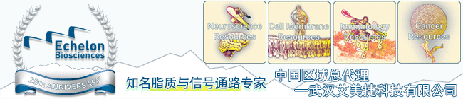 echelon品牌聯系方式