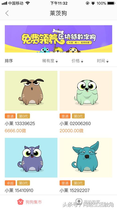 軟件先行，硬件奠基 我的區塊鏈產品參與策略
